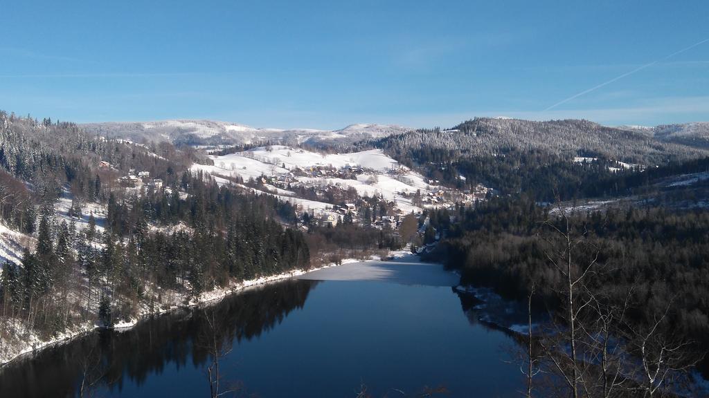 Rezydencja Prezydenta Rp Zamek W Wisle Висла Экстерьер фото