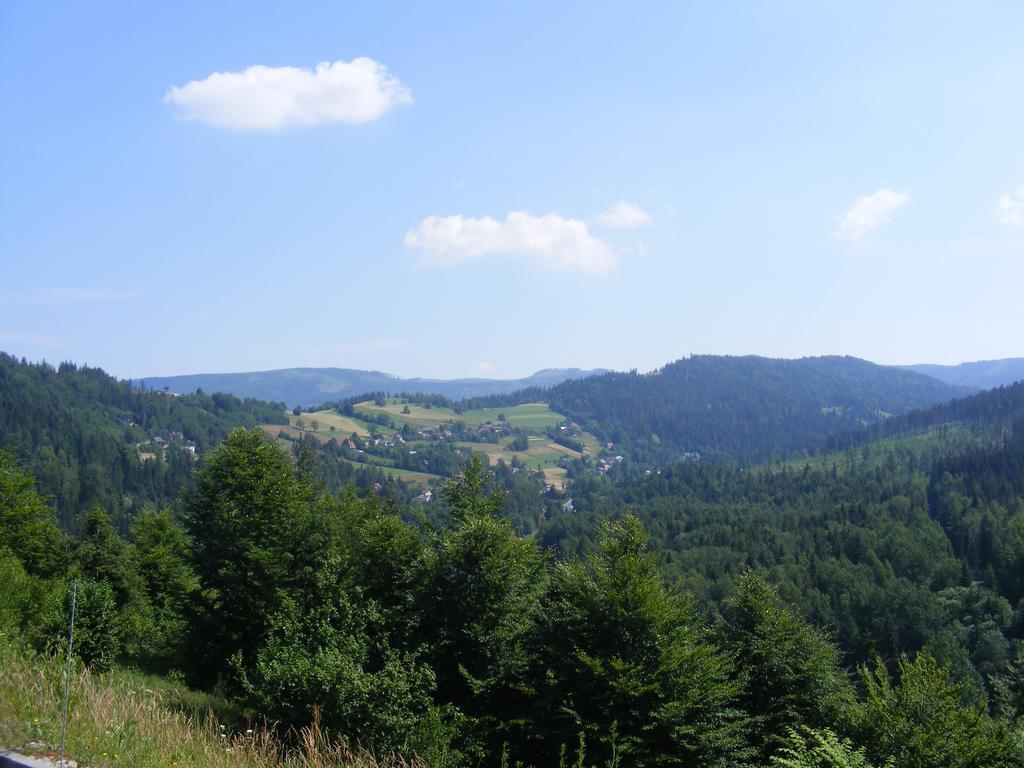 Rezydencja Prezydenta Rp Zamek W Wisle Висла Экстерьер фото